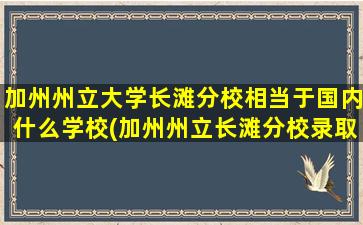 加州州立大学长滩分校相当于国内什么学校(加州州立长滩分校录取条件)