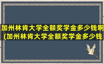 加州林肯大学全额奖学金多少钱啊(加州林肯大学全额奖学金多少钱一个月)