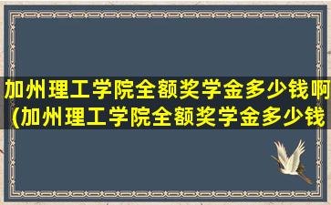 加州理工学院全额奖学金多少钱啊(加州理工学院全额奖学金多少钱一个月)