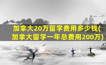 加拿大20万留学费用多少钱(加拿大留学一年总费用200万)