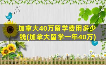 加拿大40万留学费用多少钱(加拿大留学一年40万)