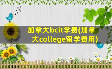 加拿大bcit学费(加拿大college留学费用)