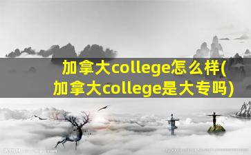 加拿大college怎么样(加拿大college是大专吗)