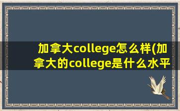 加拿大college怎么样(加拿大的college是什么水平)