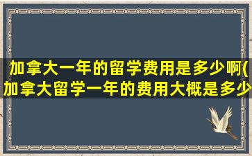 加拿大一年的留学费用是多少啊(加拿大留学一年的费用大概是多少2020-1-61579阅读)