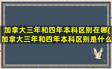 加拿大三年和四年本科区别在哪(加拿大三年和四年本科区别是什么)