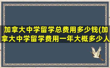 加拿大中学留学总费用多少钱(加拿大中学留学费用一年大概多少人民币)