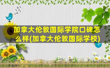 加拿大伦敦国际学院口碑怎么样(加拿大伦敦国际学校)