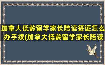 加拿大低龄留学家长陪读签证怎么办手续(加拿大低龄留学家长陪读签证怎么办的)