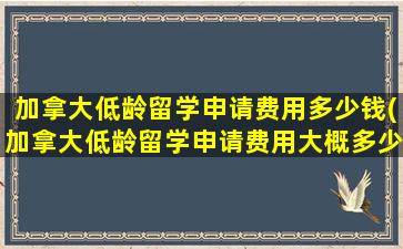 加拿大低龄留学申请费用多少钱(加拿大低龄留学申请费用大概多少)