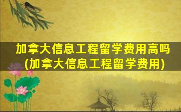 加拿大信息工程留学费用高吗(加拿大信息工程留学费用)