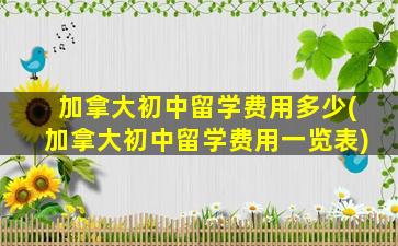 加拿大初中留学费用多少(加拿大初中留学费用一览表)