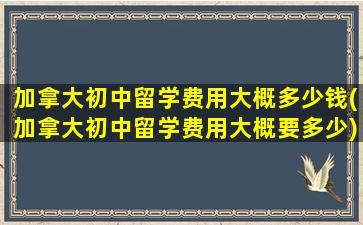 加拿大初中留学费用大概多少钱(加拿大初中留学费用大概要多少)