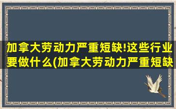 加拿大劳动力严重短缺!这些行业要做什么(加拿大劳动力严重短缺!这些行业要怎么做-)