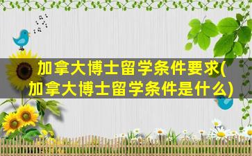 加拿大博士留学条件要求(加拿大博士留学条件是什么)