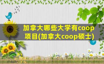 加拿大哪些大学有coop项目(加拿大coop硕士)