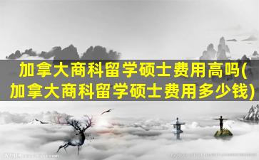 加拿大商科留学硕士费用高吗(加拿大商科留学硕士费用多少钱)