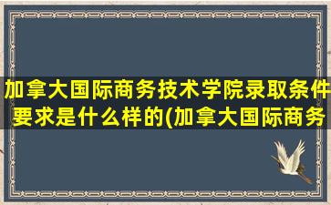 加拿大国际商务技术学院录取条件要求是什么样的(加拿大国际商务专业)