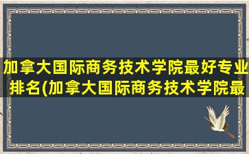 加拿大国际商务技术学院最好专业排名(加拿大国际商务技术学院最好专业排名第几)