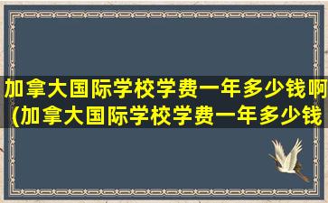 加拿大国际学校学费一年多少钱啊(加拿大国际学校学费一年多少钱人民币)