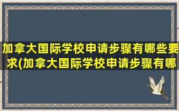 加拿大国际学校申请步骤有哪些要求(加拿大国际学校申请步骤有哪些条件)