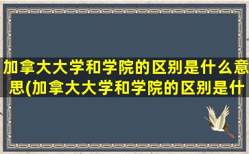 加拿大大学和学院的区别是什么意思(加拿大大学和学院的区别是什么专业)