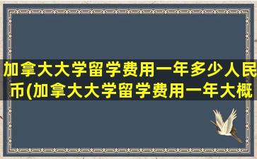 加拿大大学留学费用一年多少人民币(加拿大大学留学费用一年大概多少人民币高中)