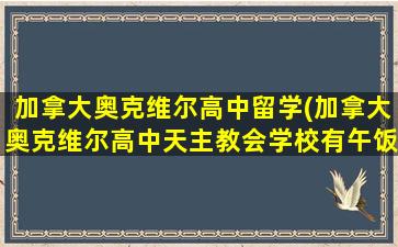 加拿大奥克维尔高中留学(加拿大奥克维尔高中天主教会学校有午饭)