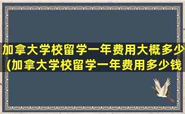 加拿大学校留学一年费用大概多少(加拿大学校留学一年费用多少钱)