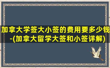 加拿大学签大小签的费用要多少钱-(加拿大留学大签和小签详解)