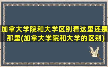 加拿大学院和大学区别看这里还是那里(加拿大学院和大学的区别)