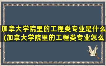 加拿大学院里的工程类专业是什么(加拿大学院里的工程类专业怎么样)