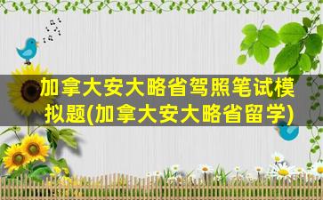 加拿大安大略省驾照笔试模拟题(加拿大安大略省留学)