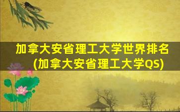 加拿大安省理工大学世界排名(加拿大安省理工大学QS)