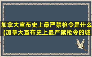 加拿大宣布史上最严禁枪令是什么(加拿大宣布史上最严禁枪令的城市)