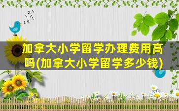 加拿大小学留学办理费用高吗(加拿大小学留学多少钱)