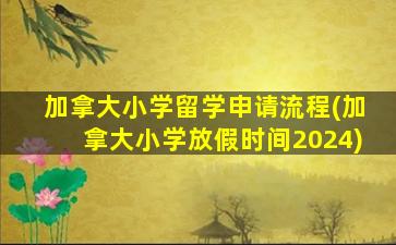 加拿大小学留学申请流程(加拿大小学放假时间2024)