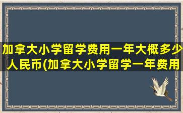 加拿大小学留学费用一年大概多少人民币(加拿大小学留学一年费用多少)