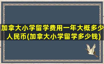 加拿大小学留学费用一年大概多少人民币(加拿大小学留学多少钱)