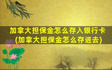 加拿大担保金怎么存入银行卡(加拿大担保金怎么存进去)