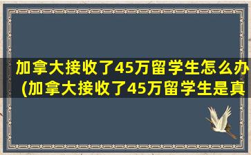 加拿大接收了45万留学生怎么办(加拿大接收了45万留学生是真的吗)