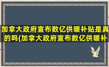 加拿大政府宣布数亿供暖补贴是真的吗(加拿大政府宣布数亿供暖补贴政策)