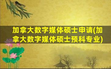 加拿大数字媒体硕士申请(加拿大数字媒体硕士预科专业)