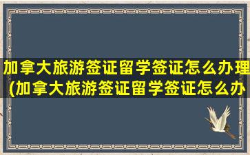 加拿大旅游签证留学签证怎么办理(加拿大旅游签证留学签证怎么办)