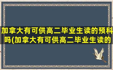 加拿大有可供高二毕业生读的预科吗(加拿大有可供高二毕业生读的预科吗现在)