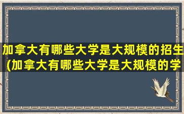 加拿大有哪些大学是大规模的招生(加拿大有哪些大学是大规模的学生)