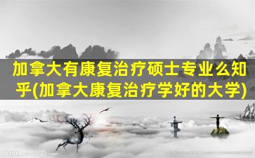 加拿大有康复治疗硕士专业么知乎(加拿大康复治疗学好的大学)