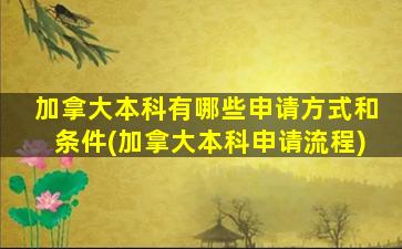 加拿大本科有哪些申请方式和条件(加拿大本科申请流程)