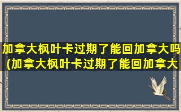 加拿大枫叶卡过期了能回加拿大吗(加拿大枫叶卡过期了能回加拿大吗知乎)