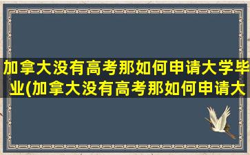 加拿大没有高考那如何申请大学毕业(加拿大没有高考那如何申请大学学历)